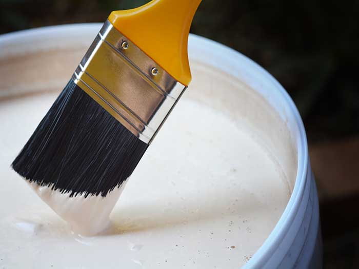 dipping paint brush into white paint