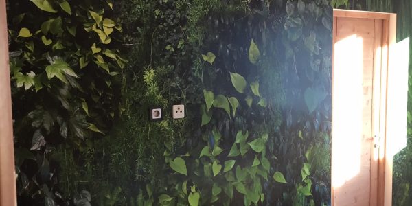 wallpaper around light switches and sockets
