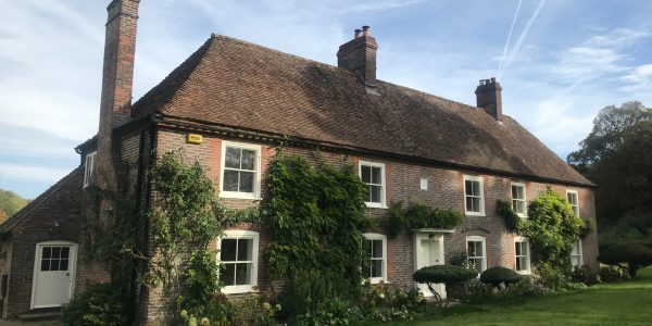brick house with plants growing up the walls