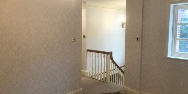 wallpaper in the landing