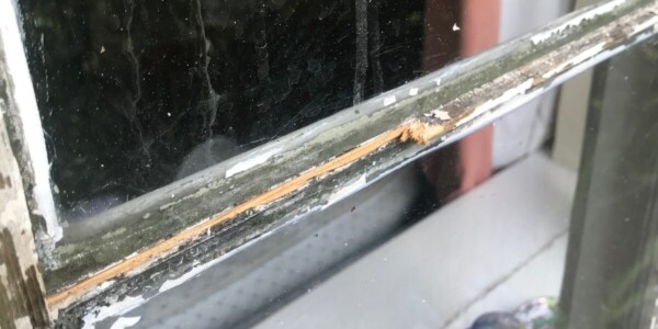 8 close up of mold on window frame