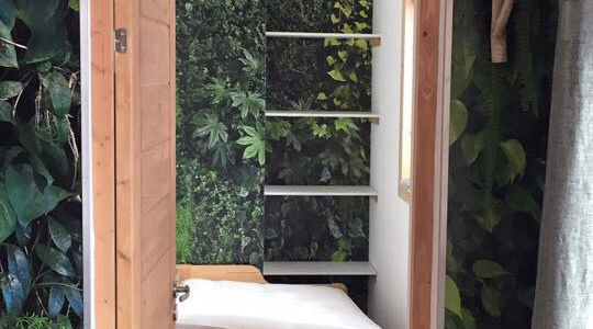 Featured Walls 5 wallpaper around door frame