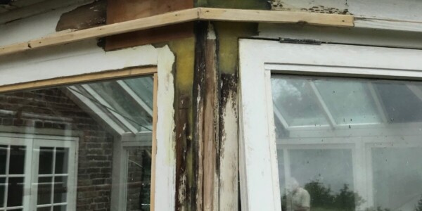 door frame molded